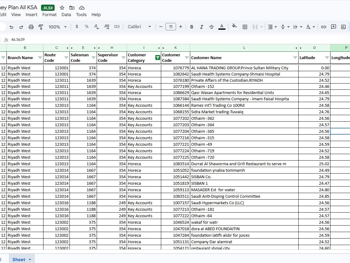 Customer Master Data Governance & Asset Tracking System